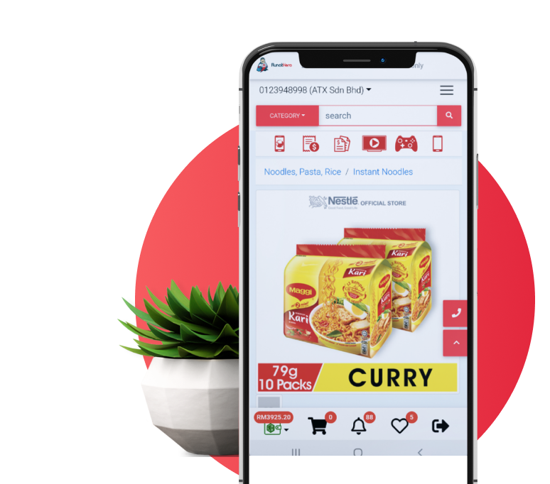 B2B Digital Payment Services